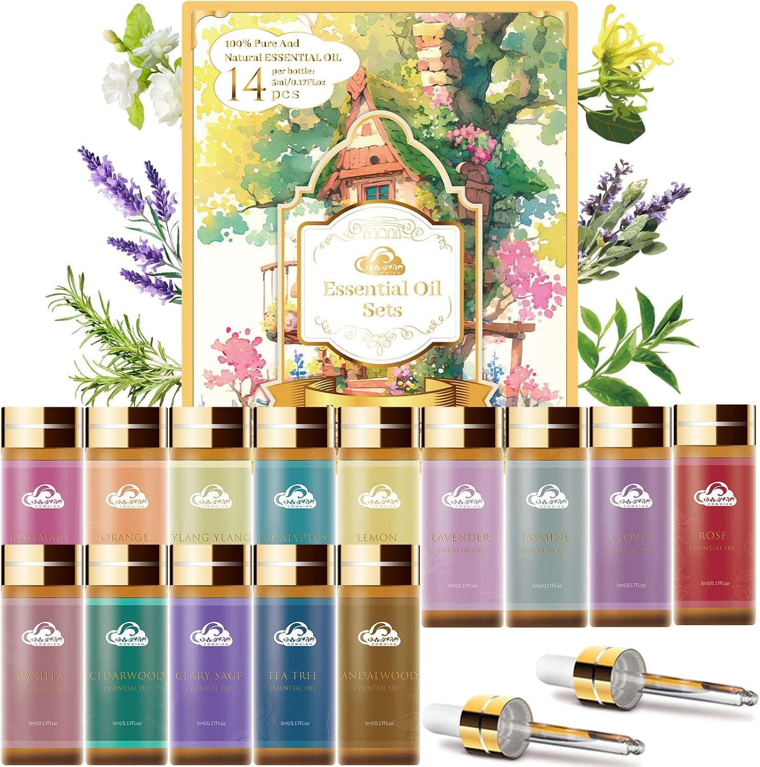 Fragrance Essential Oils Set - 12pc, Aromatherapy Oils for Skin, Diffusers, Home Care, Humidifier Laundry, Candle Making - Tea Tree, Sandalwood, Lavender, Vanilla, Eucalyptus and More (5mL)