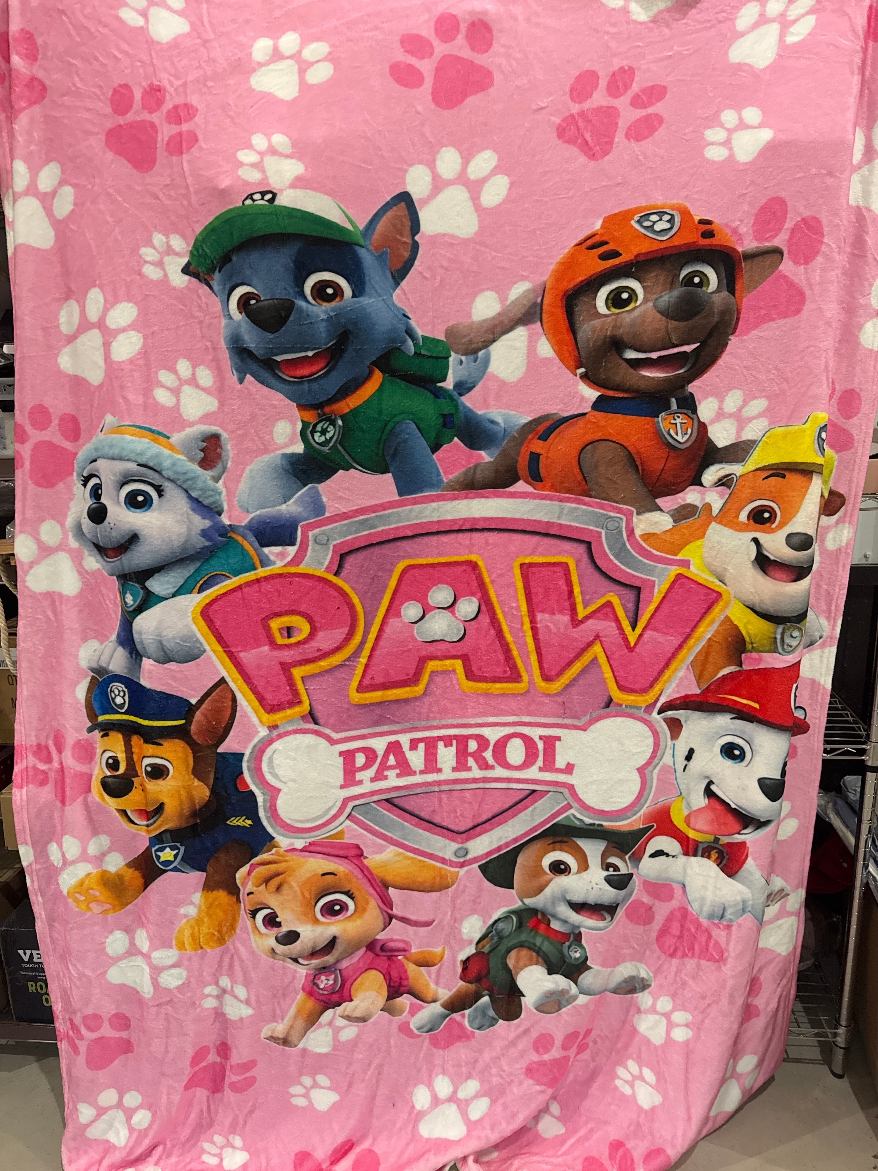 Paw Patrol Franco Kids Girls Plush Throw Blanket, Pink 50 in x 70 in